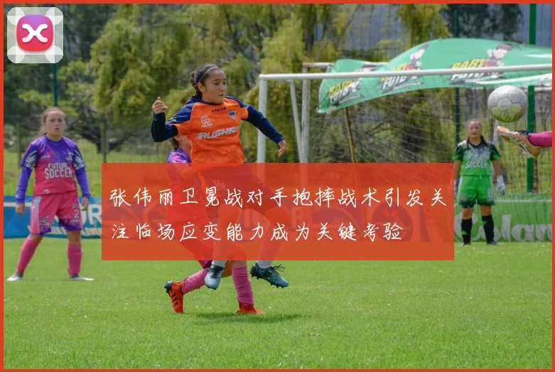 张伟丽卫冕战对手抱摔战术引发关注临场应变能力成为关键考验